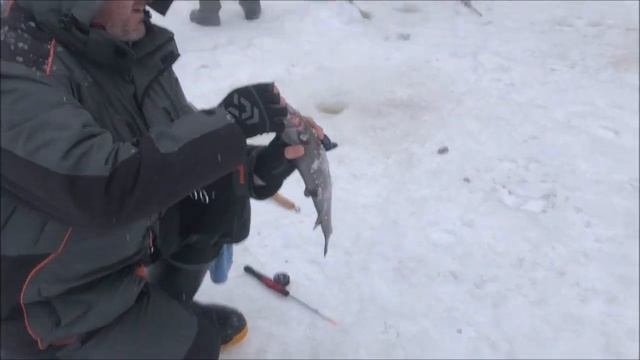 Паста и блесна основные наживки. Рыбалка со льда на Верхнем водоёме. Клёвое место лосиный остров. смотреть онлайн