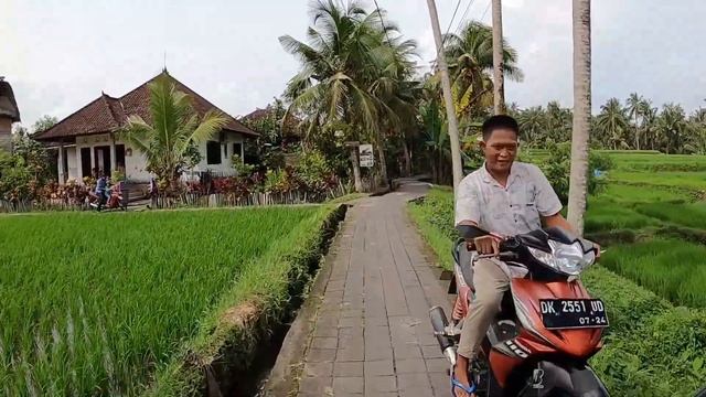 Ubud Bali January 2022 | Jl. Subak Sok Wayah Ubud Bali смотреть онлайн
