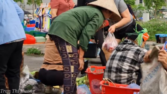 120 Days Harvest Sapodilla, Agricultural Products Go To Market Sell | Gardening-Farming-Animal Care