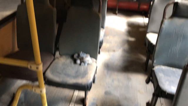 паз смотреть онлайн