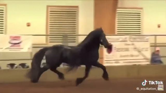 Чёрная красивая лошадь песня смотреть онлайн