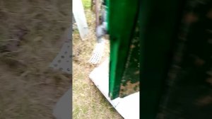 сцепление газ 53 на двигатель т 40