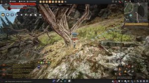 Терновый сок Black Desert