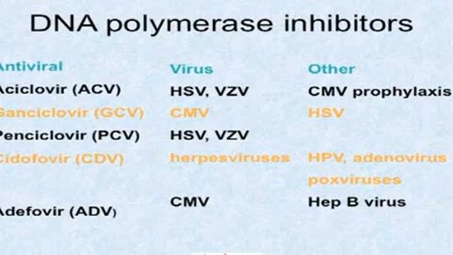 CMV infection and HIV. Part 2 смотреть онлайн