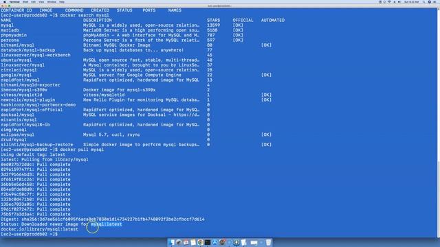 Pulling MySQL Docker Image смотреть онлайн