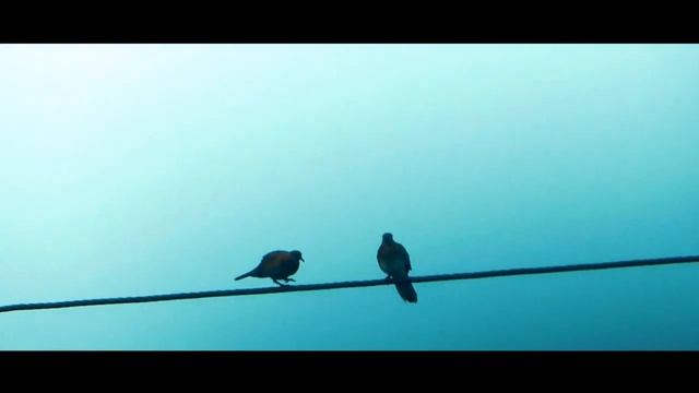 THE RAIN-full Movie-2019