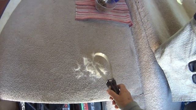 RV Lady An Older Video 2.28.18 - Carpet Hack For Animals!