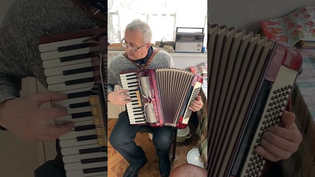 Firotti piano accordion, 3/4 accordion, 80 Bass, 34 keys, 3 voices, 5+3 registers смотреть онлайн