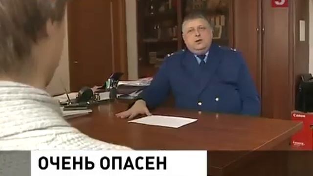 Антон Елфимов - догкиллер из Петербурга смотреть онлайн