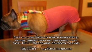 Трусы для собак во время течки своими руками