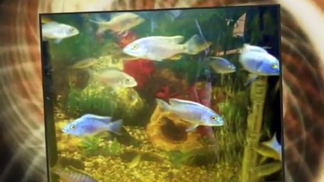 Васильки и другие смотреть онлайн