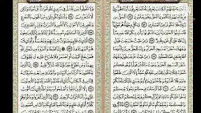 Сура Аль-Бакара, аят 166-175. смотреть онлайн