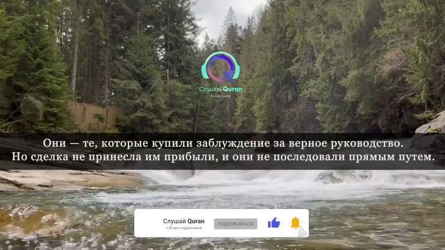 Сура Бакара защита дома от шайтана Включайте обязательно в ваших домах прекрасное чтение корана смотреть онлайн
