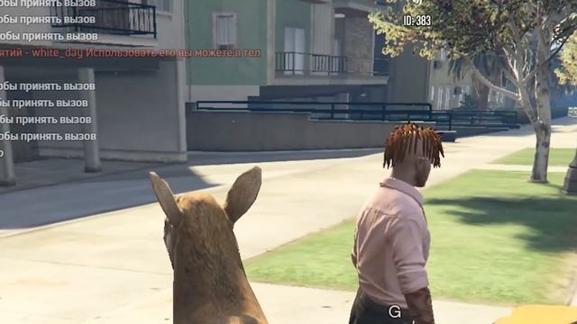 ОЛЕНЬ В ТАКСИ - GTA 5 RP смотреть онлайн
