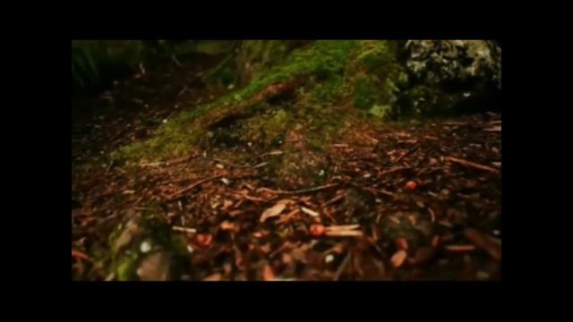 PILISHKIN.Когда говорят только руки... смотреть онлайн