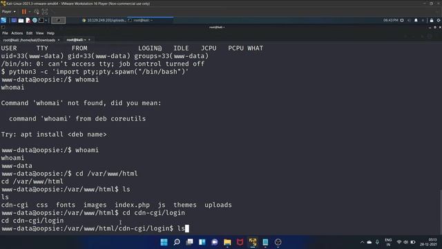 OOPSIE - Hack The Box || Complete Walkthrough смотреть онлайн