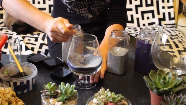 мастер-класс: 4-ре композиции из сукулентов смотреть онлайн