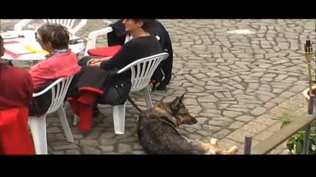 Clausthal Zellerfeld 2015 смотреть онлайн