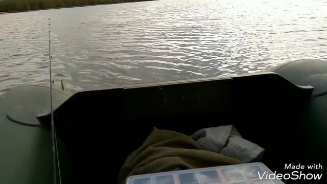 Рыбалка в г.Челябинске,о.Смолино,залив Сухомесово.Щучка вместо окуня.29 августа 2017г. смотреть онлайн