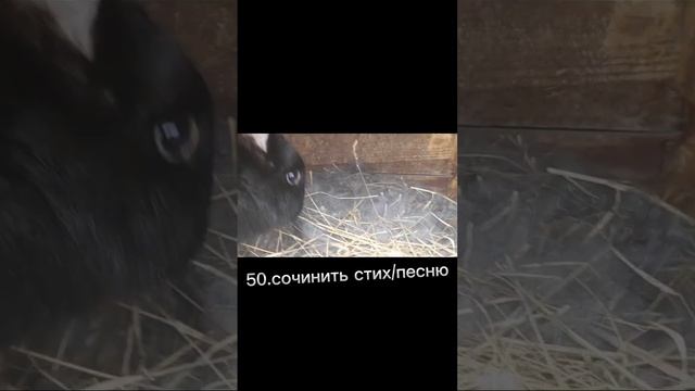 что делать когда скучно?/100 идей/долгожданное видео ?❤️? смотреть онлайн