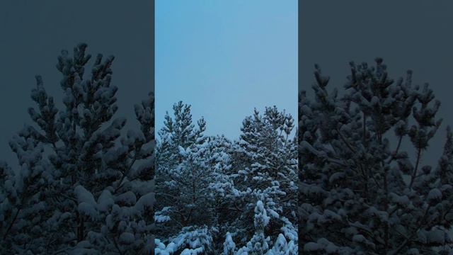 Никогда не видели снега смотреть онлайн