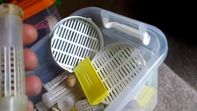 ПРАКТИЧНЫЕ МЕЛОЧИ НА ПАСЕКЕ... смотреть онлайн