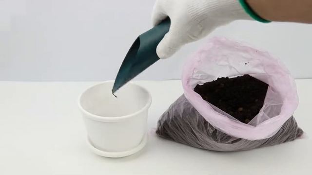 Совок садовый Garden Show смотреть онлайн