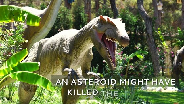 The Asteroid Belt - Our Solar System смотреть онлайн