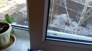 palikprof.ru регулировка фурнитуры siegenia