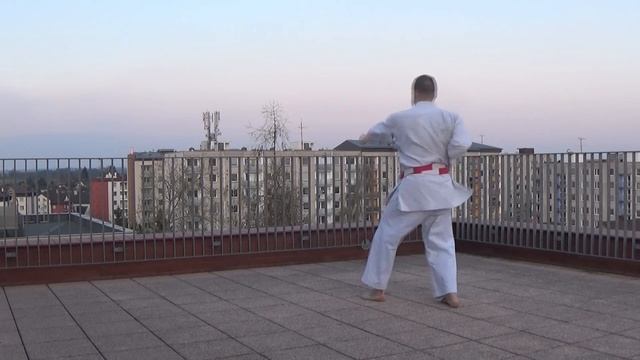 Okinawa Shorin-ryu Karate - Kata: Pinan Shodan смотреть онлайн