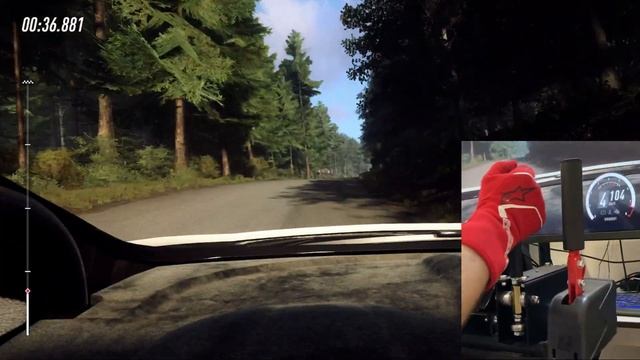 Секвентальный шифтер DimSim - незаменимый девайс для ралли | Русский штурман Viki #симрейсинг