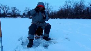 Ловля окуня зимой на балансир. Уловистые балансиры. Техника ловли.