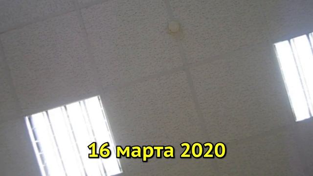 Сходил в Егорьевскую прокуратуру пожаловаться на властей.. смотреть онлайн