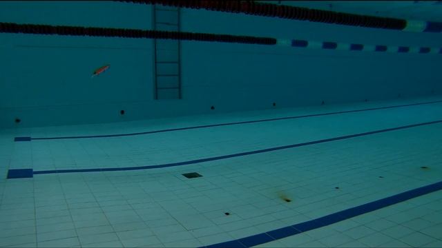 Воблер на щуку BEARKING EVERGREEN MO DO FAITH . Твичинг воблеров Воблеры с Алиэкспресс смотреть онлайн