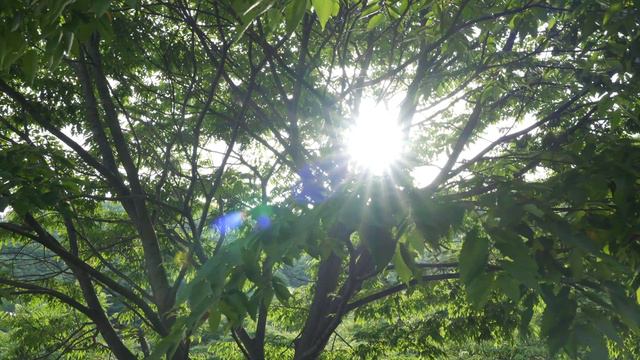 악! 소리 났던 삼악산 등산 | 여름 산행 쉽지 않네... | 등선폭포 | Samak Mountain | Outdoor смотреть онлайн