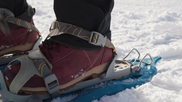 Снегоступы: как выбрать и как ходить? смотреть онлайн