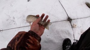 РЫБАЛКА НА ХАПУГУ ХЛОПОК. ЩУКА ОДНА ЗА ОДНО! РЫБЫ ВАЛОМ! Весенняя рыбалка на хапугу хлопок