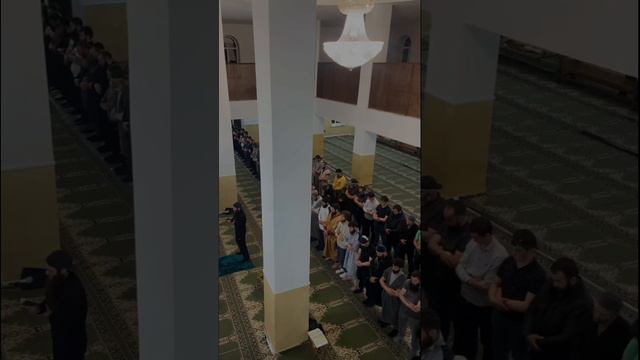 сура ар-Рахман 55 смотреть онлайн