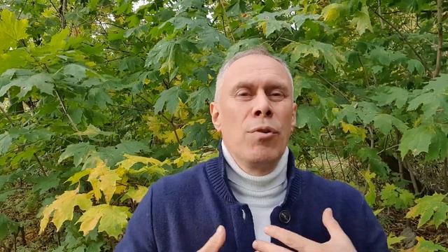 Превью трансформация вины и открытое сердце смотреть онлайн