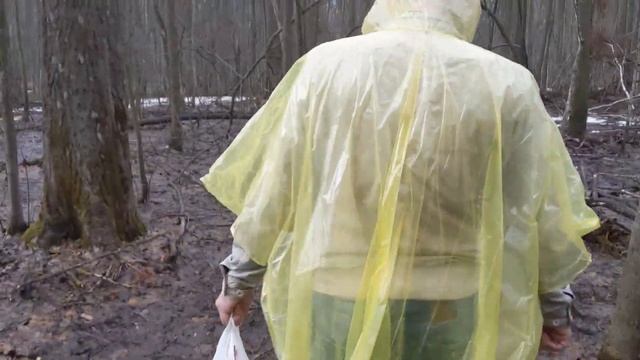 Первые весенние грибы. Первая вылазка смотреть онлайн