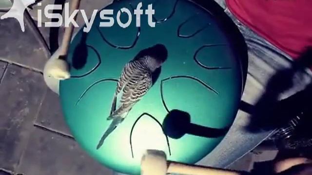 Hang Drum удивительный музыкальный инструмент смотреть онлайн