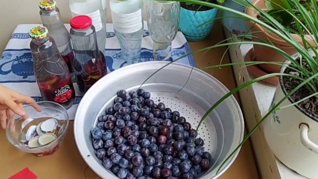 Göyem kampotunun hazırlanması Qışlıq göyem kampotu nece hazirlanir Çox asan üsulla qışlıq kampot смотреть онлайн