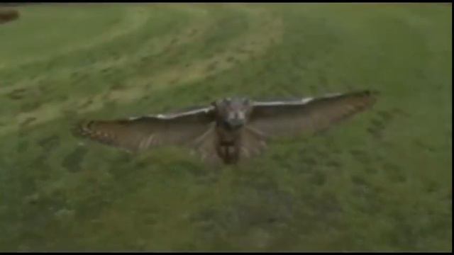 Придёт же в голову такое! смотреть онлайн