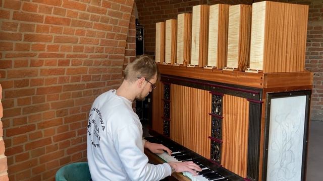 F. Liszt- Liebestraum nr. 3- concert celesta (432Hz, rehearsal) смотреть онлайн