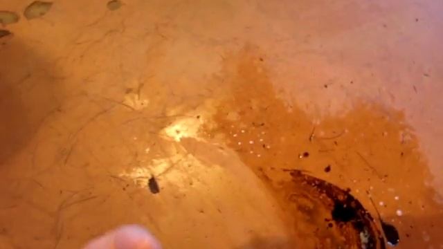 Домовладелец Профи