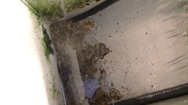 Чистка Ultrasieve Midi 00266 midi sieve смотреть онлайн