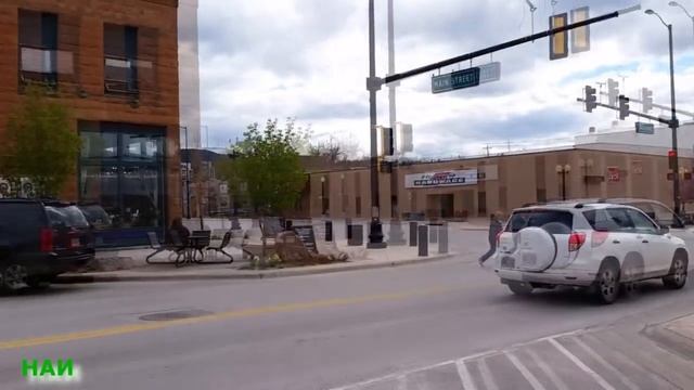 136. SD | Рыба, Соседний город, Снег и Сирень