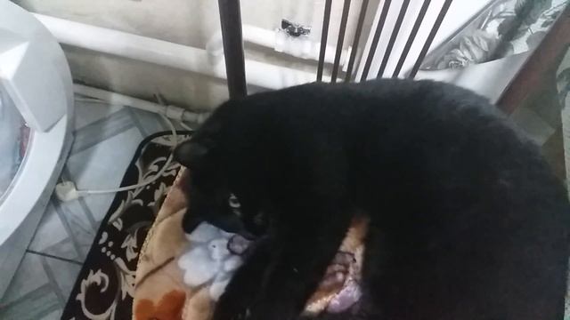 Щавеливый супчик  витаминный.