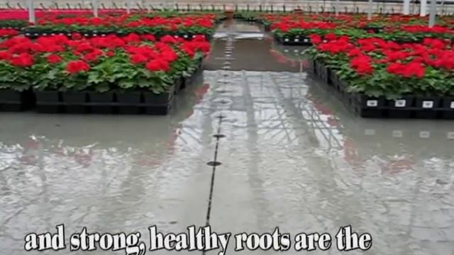 Bordine Nursery Flood Floors смотреть онлайн
