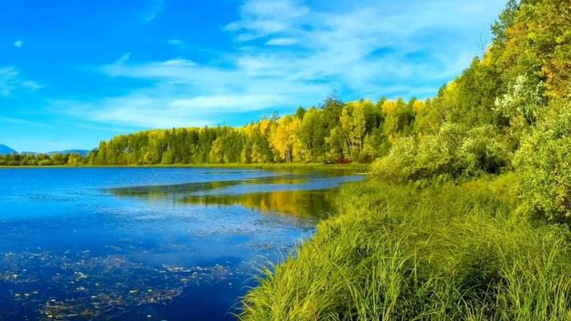 Музыка Релакс. Подборка красивых рек и источников жизни на земле. смотреть онлайн